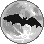 Bat in front of the Moon
