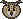 owl face